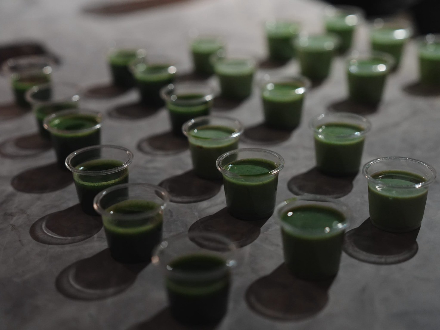 初回イベントで参加者のために用意された抹茶のドリンク